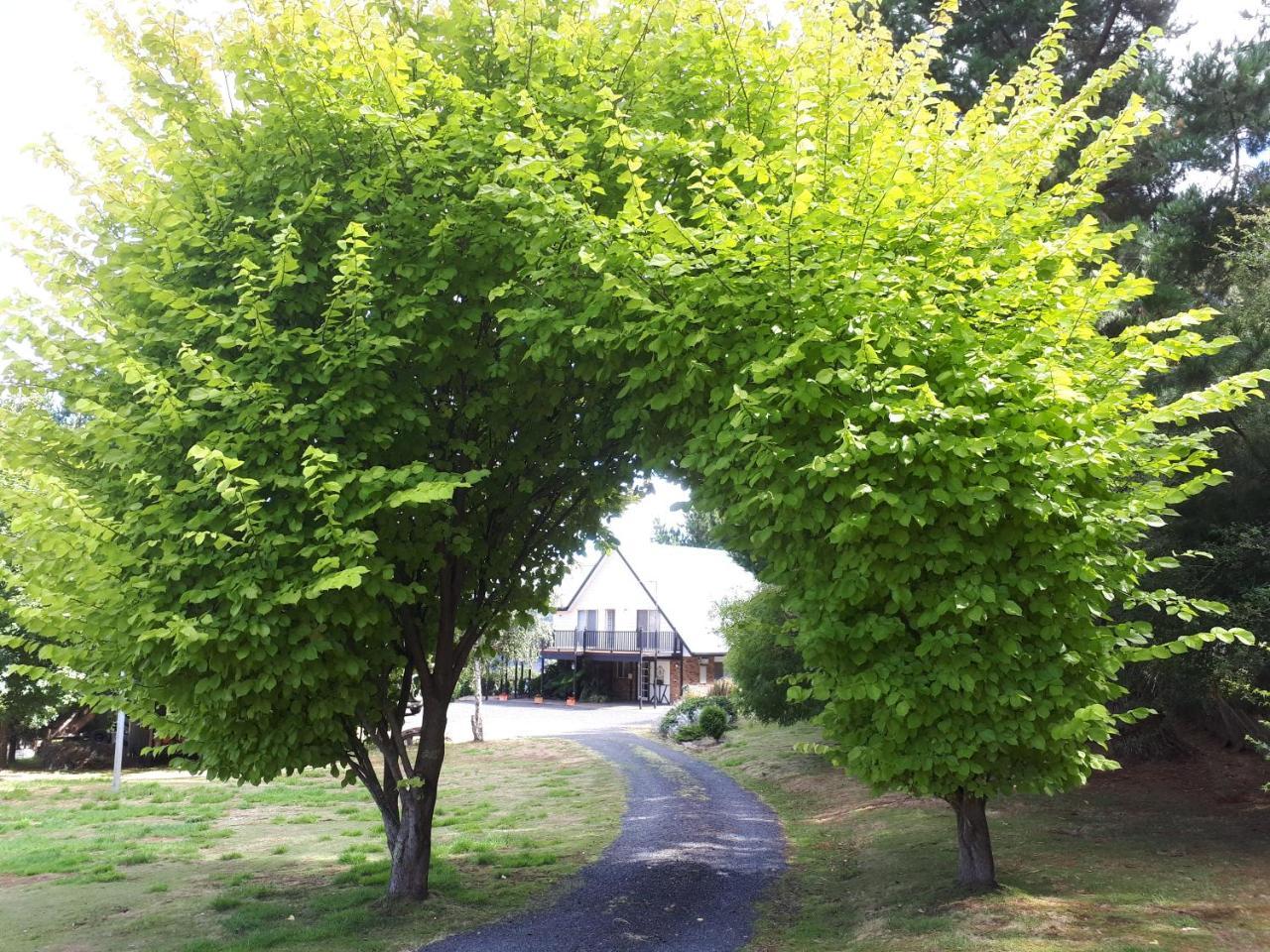 Robin'S Nest B&B Wilmot Eksteriør billede